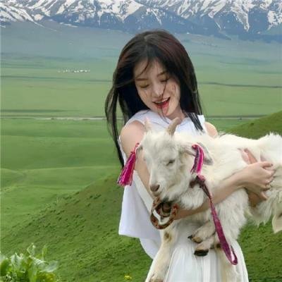 倩狐之妖乱青华